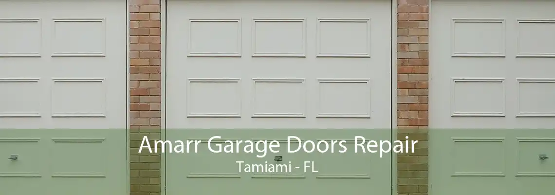 Amarr Garage Doors Repair Tamiami - FL