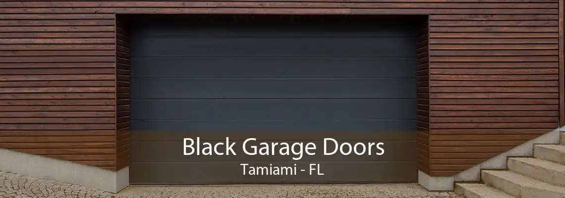 Black Garage Doors Tamiami - FL