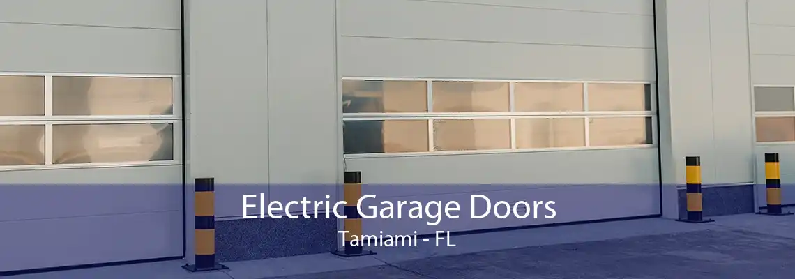 Electric Garage Doors Tamiami - FL