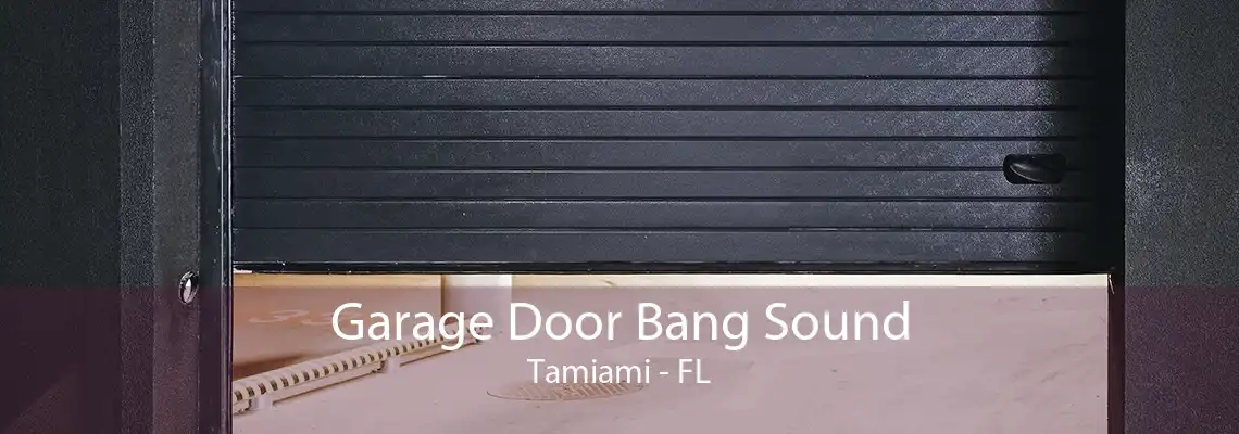 Garage Door Bang Sound Tamiami - FL