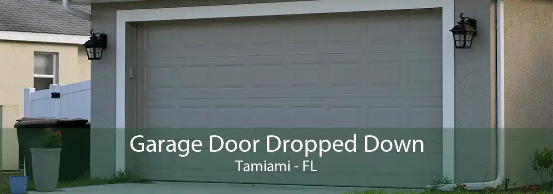 Garage Door Dropped Down Tamiami - FL