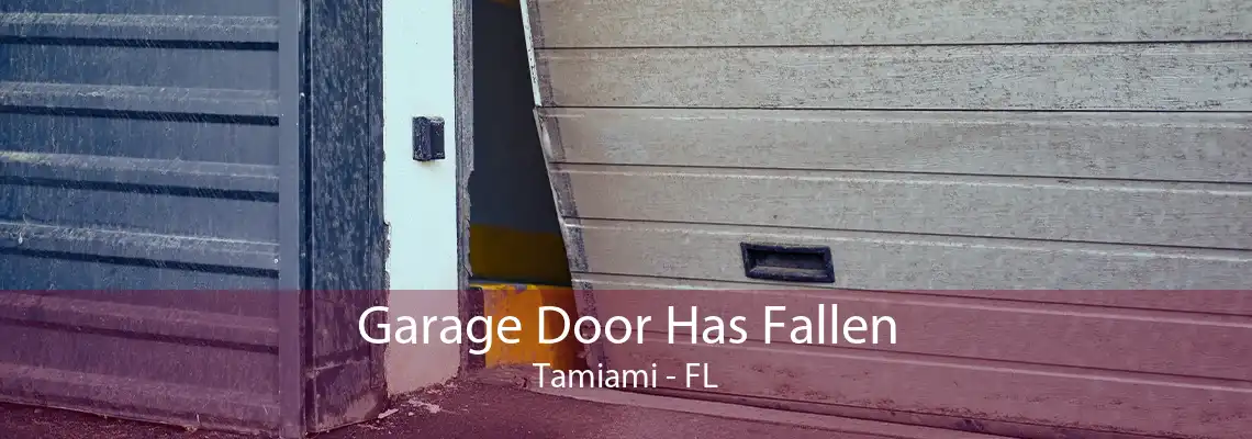 Garage Door Has Fallen Tamiami - FL