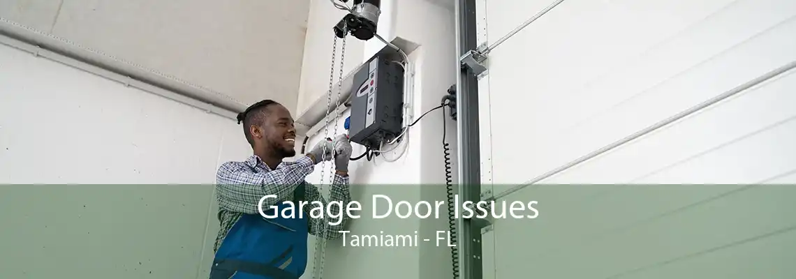 Garage Door Issues Tamiami - FL