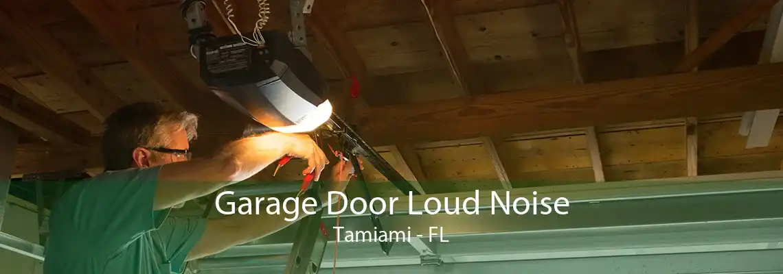 Garage Door Loud Noise Tamiami - FL