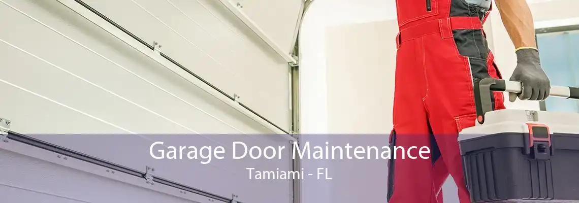 Garage Door Maintenance Tamiami - FL