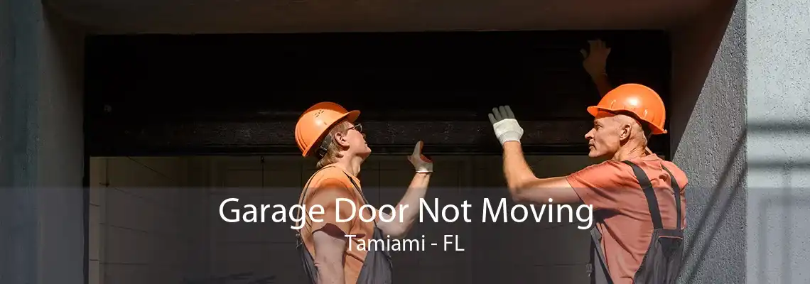 Garage Door Not Moving Tamiami - FL