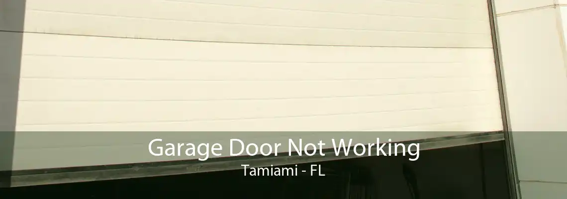 Garage Door Not Working Tamiami - FL