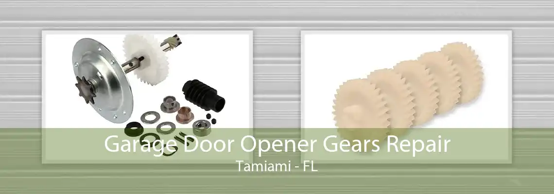 Garage Door Opener Gears Repair Tamiami - FL