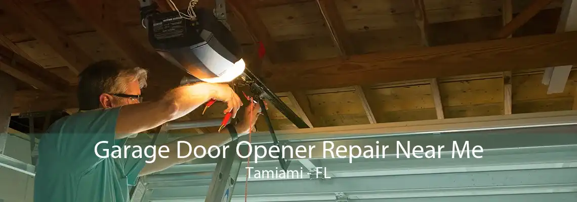 Garage Door Opener Repair Near Me Tamiami - FL