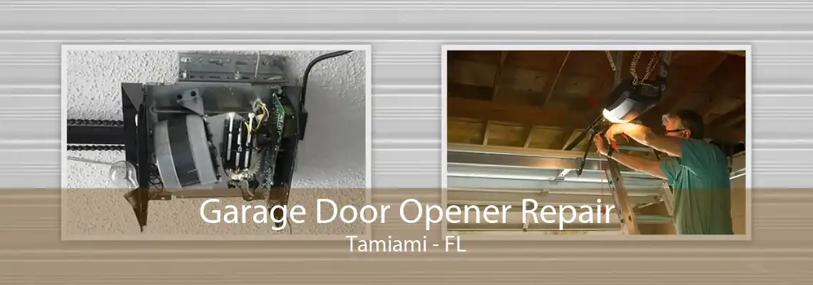 Garage Door Opener Repair Tamiami - FL