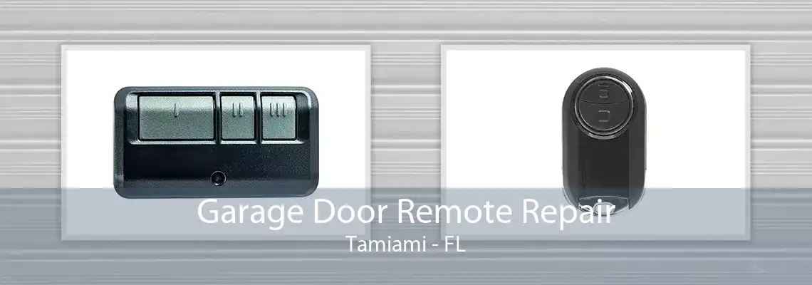 Garage Door Remote Repair Tamiami - FL