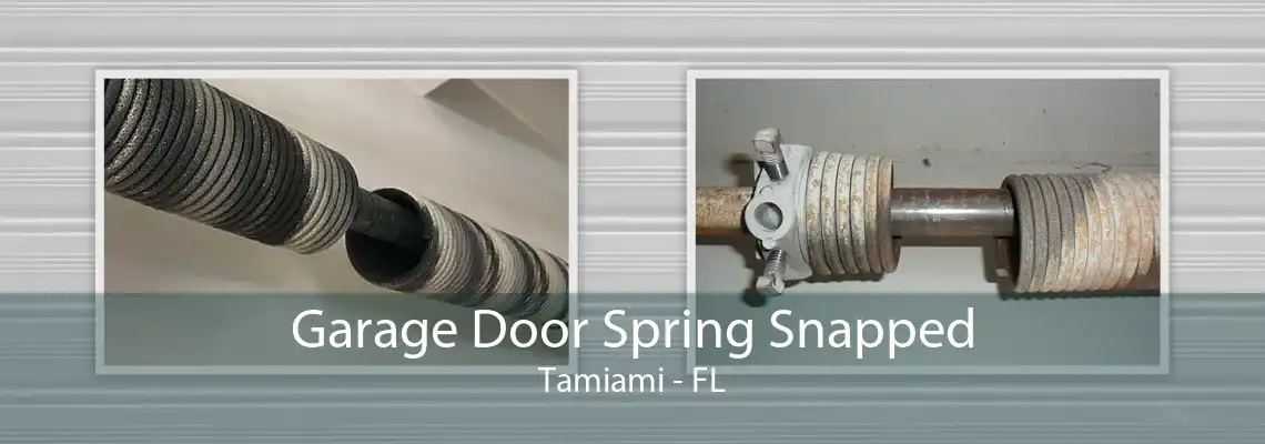 Garage Door Spring Snapped Tamiami - FL