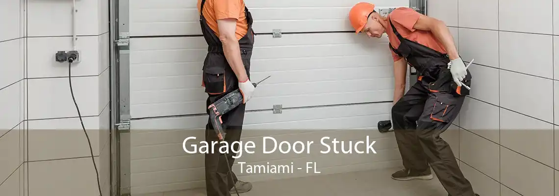 Garage Door Stuck Tamiami - FL