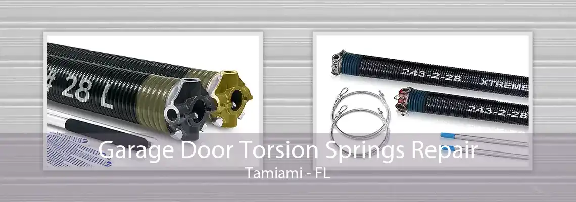 Garage Door Torsion Springs Repair Tamiami - FL