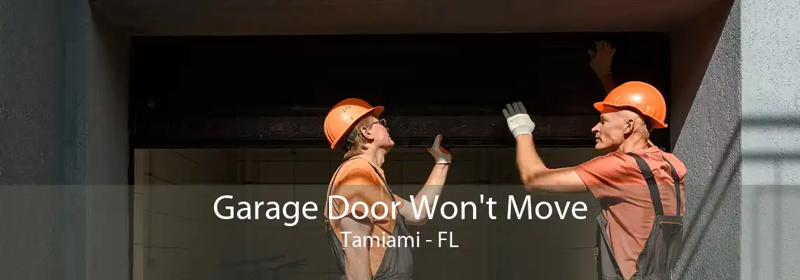 Garage Door Won't Move Tamiami - FL