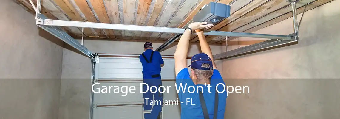 Garage Door Won't Open Tamiami - FL