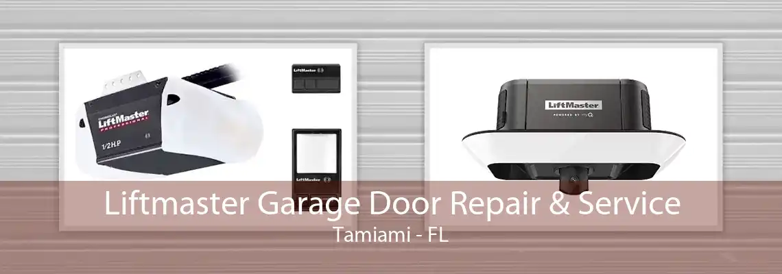 Liftmaster Garage Door Repair & Service Tamiami - FL