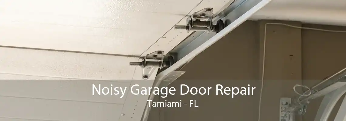 Noisy Garage Door Repair Tamiami - FL