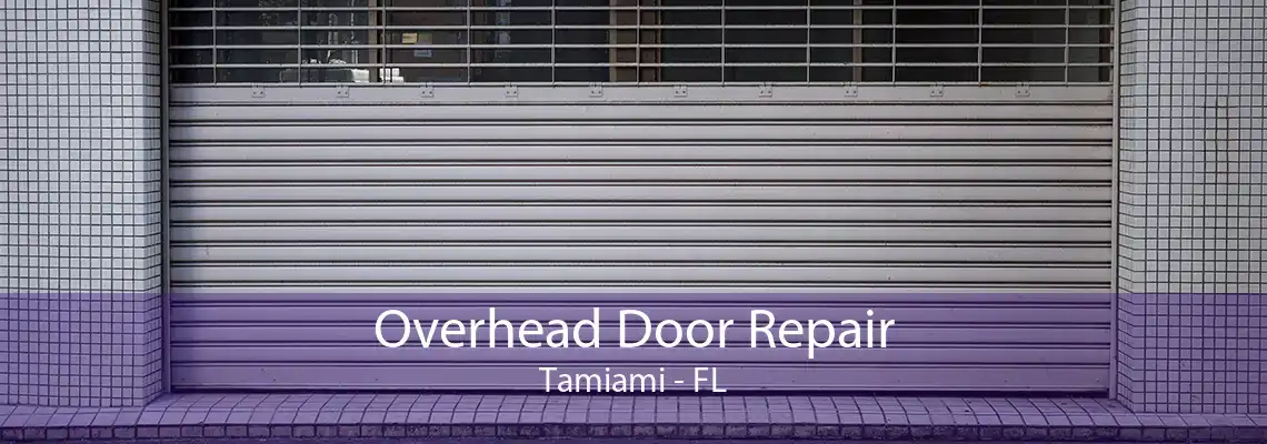 Overhead Door Repair Tamiami - FL