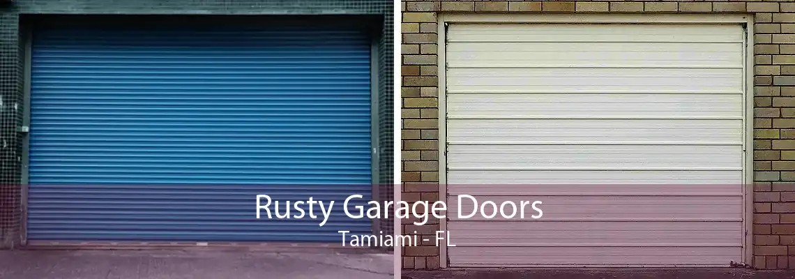 Rusty Garage Doors Tamiami - FL